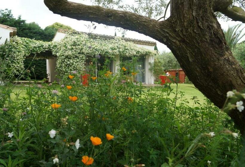 ベッドアンドブレックファースト Studio Au Coeur De La Petite Camargue