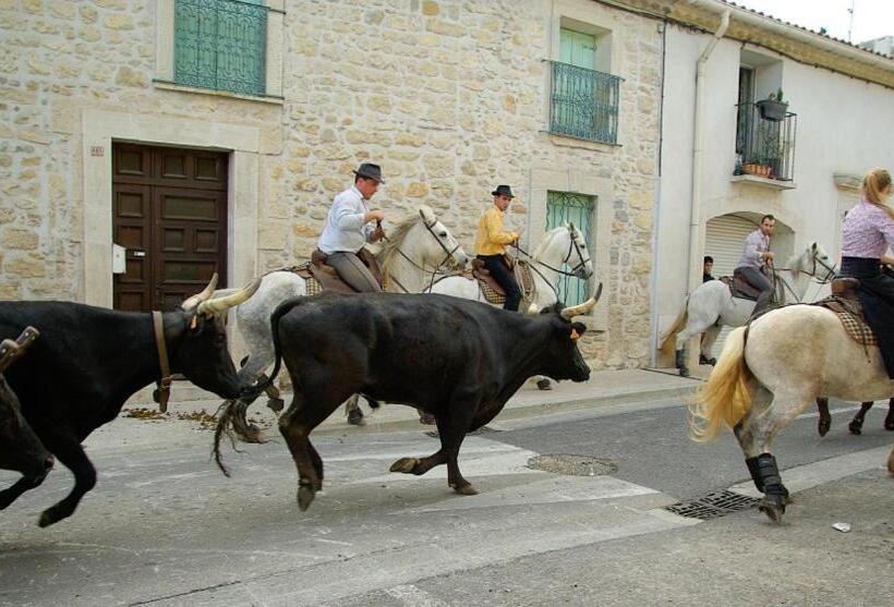 ベッドアンドブレックファースト Studio Au Coeur De La Petite Camargue