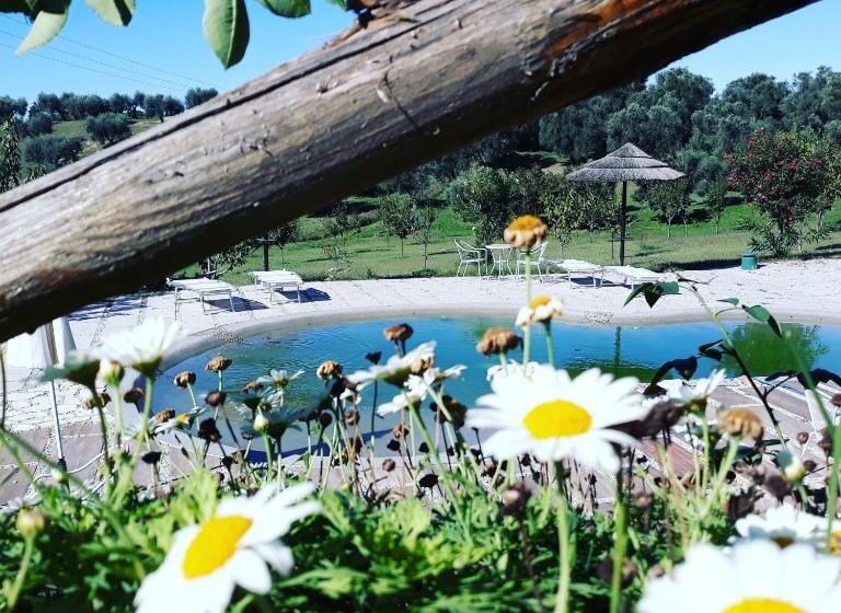 ホテル Angolo Di Paradiso