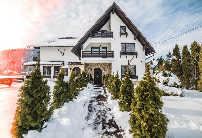 Отель Bran Chalet