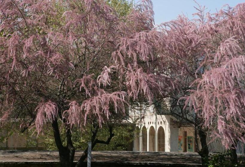 בית מלון כפרי Des Oliviers