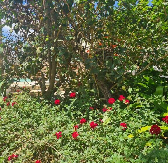 酒店 Hostel Iguabella   Rj