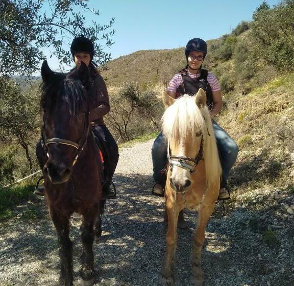 فندق La Ferme Des Cailletiers Chez Marco
