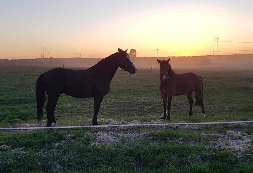 Отель Tiinan Tallin Talo