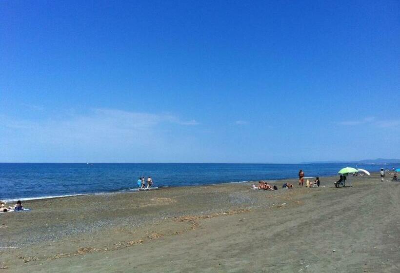 호텔 Agriturismo Bibbona By Toscanatour