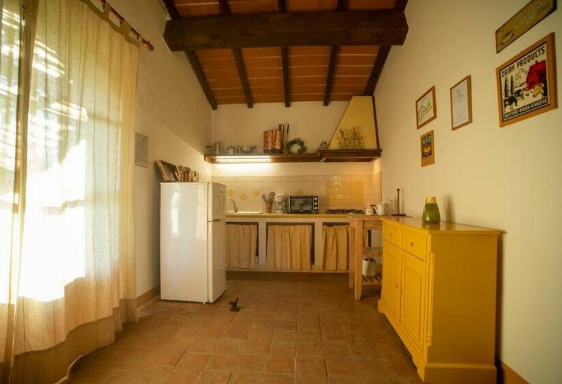 호텔 Agriturismo Bibbona By Toscanatour