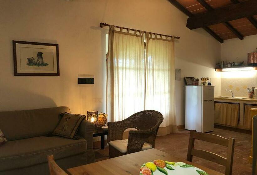 호텔 Agriturismo Bibbona By Toscanatour