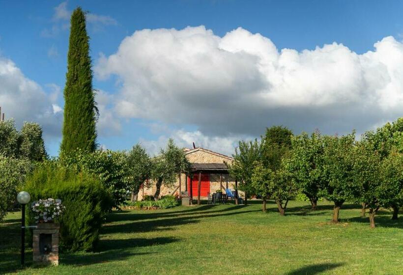 호텔 Agriturismo Bibbona By Toscanatour