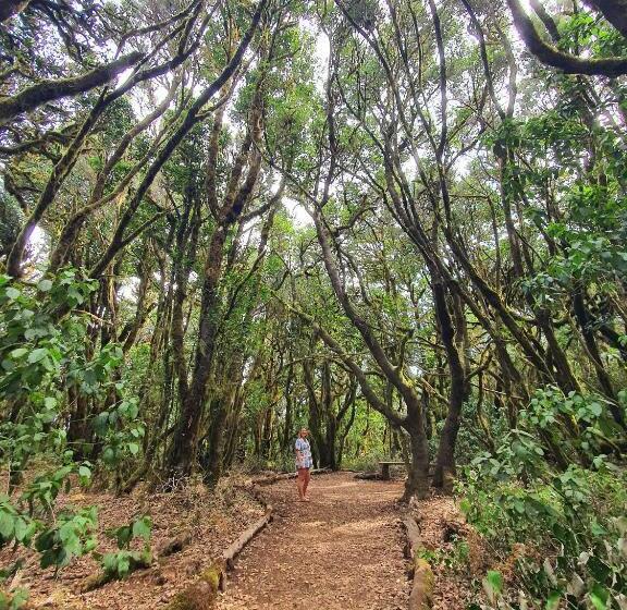 ペンション Cactus Hostel