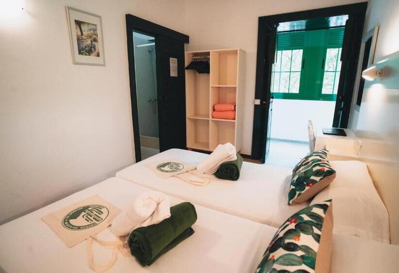 ペンション Cactus Hostel