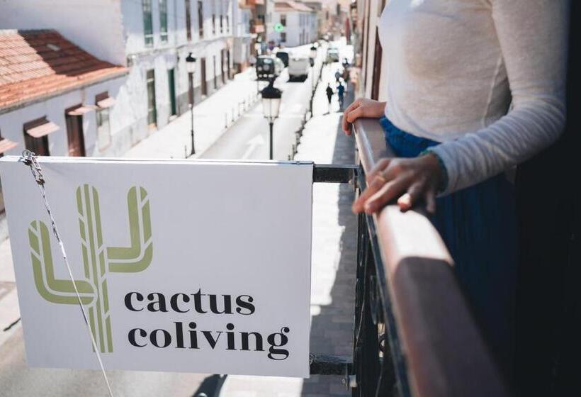 ペンション Cactus Hostel