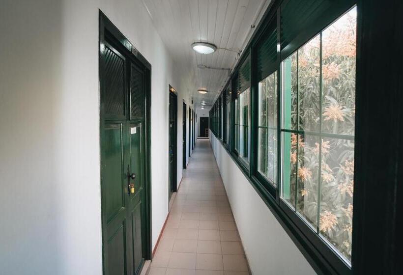 ペンション Cactus Hostel