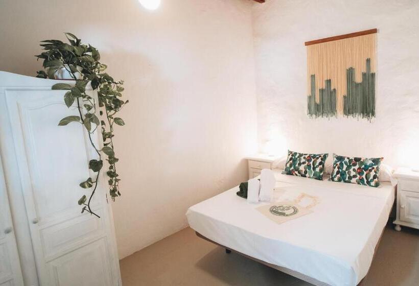 ペンション Cactus Hostel