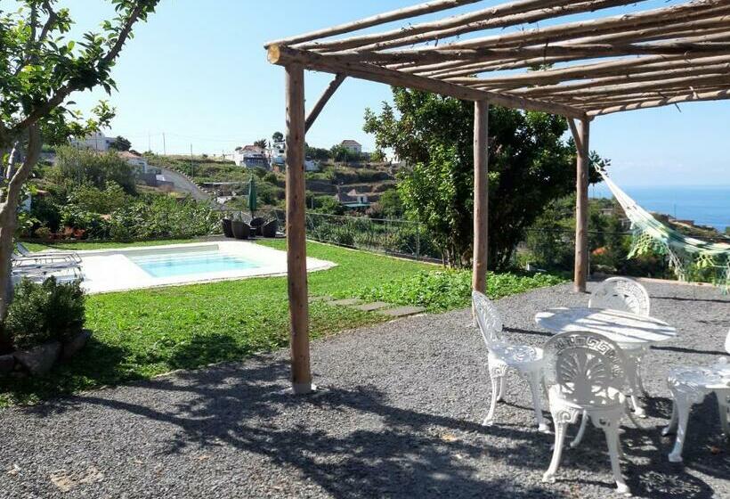 بنسيون Casa Velha D Fernando E Casa Avó Augusta