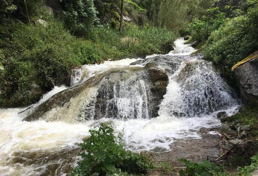 ペンション Chambres D Hôtes   Mulino Nannaré