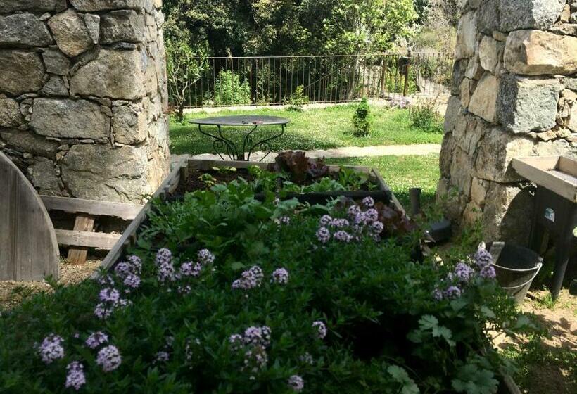 펜션 Chambres D Hôtes   Mulino Nannaré