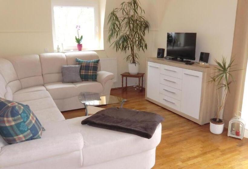 פנסיון Gästehaus Stein