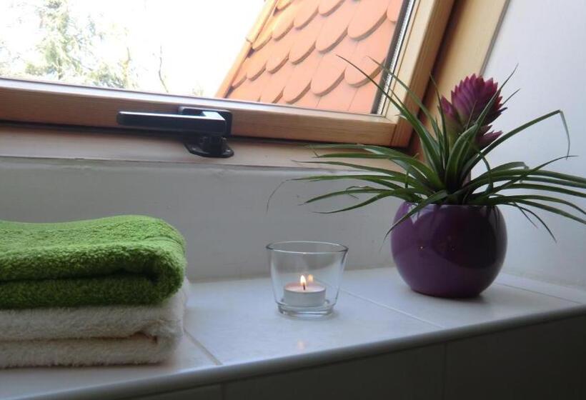 פנסיון Gästehaus Stein