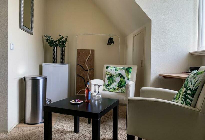 Pensão Kluiskade 24 Maasland