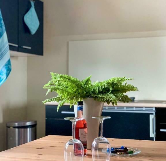 Pensão Kluiskade 24 Maasland