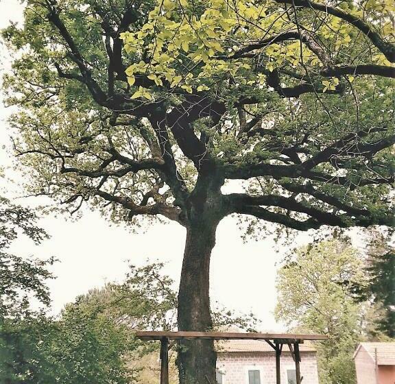 بنسيون La Quercia Di Aorivola