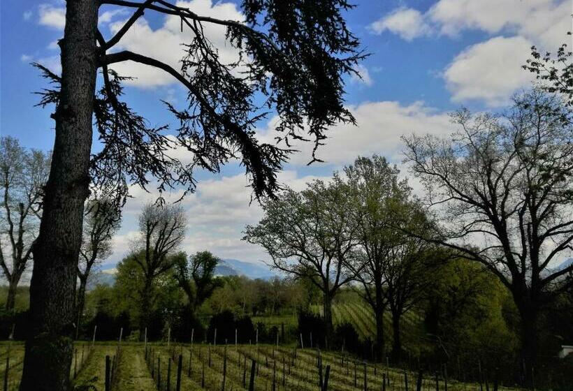بنسيون La Quercia Di Aorivola
