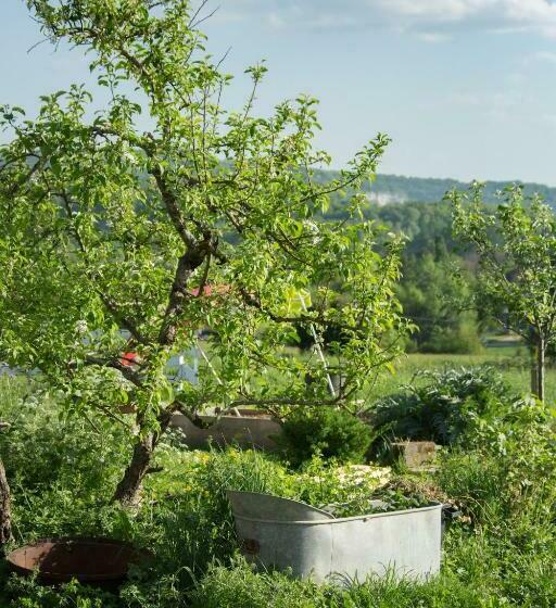 פנסיון Le Fleuraguet