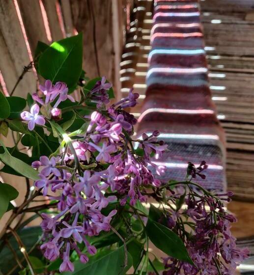 ペンション Olo Tila