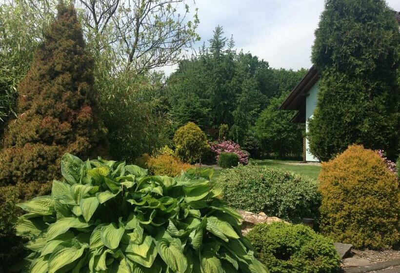 ペンション Penzion Svatava