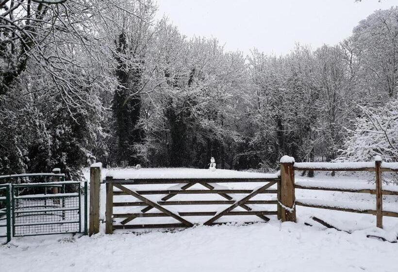 ペンション The Studio Hatfield