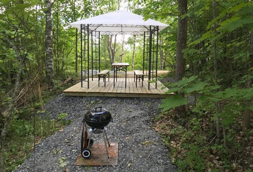 Пансион Tientaus 1 Apartments