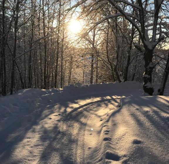 Пансион Tientaus 1 Apartments