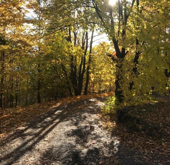 Пансион Tientaus 1 Apartments