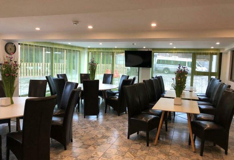 펜션 Lunca Lui Dan