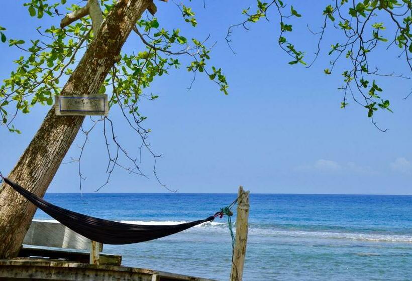 Pristine Paradise Dive Resort Una Una