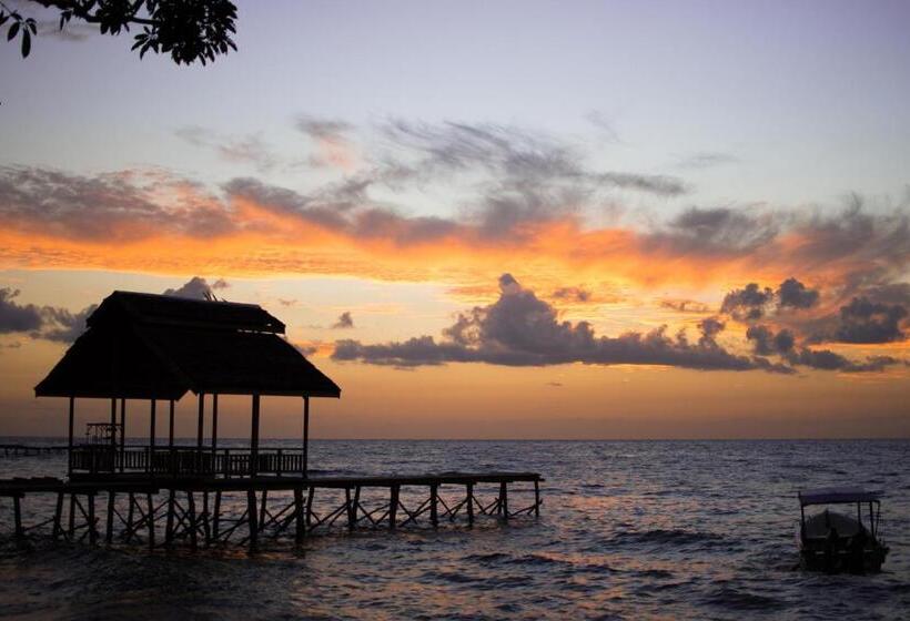 Pristine Paradise Dive Resort Una Una