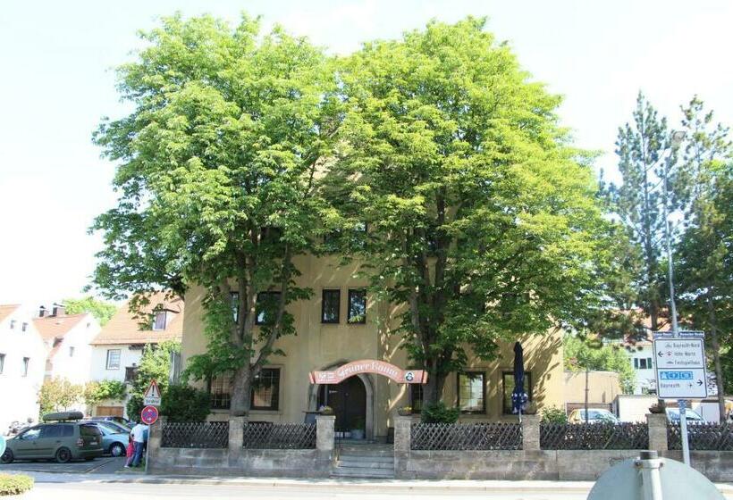 هاستل Gasthof Gruner Baum
