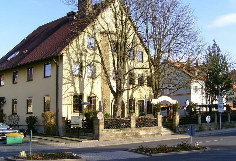 هاستل Gasthof Gruner Baum