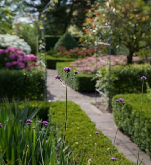 Bed and Breakfast Borneman Buitenhof   Privé Appartement