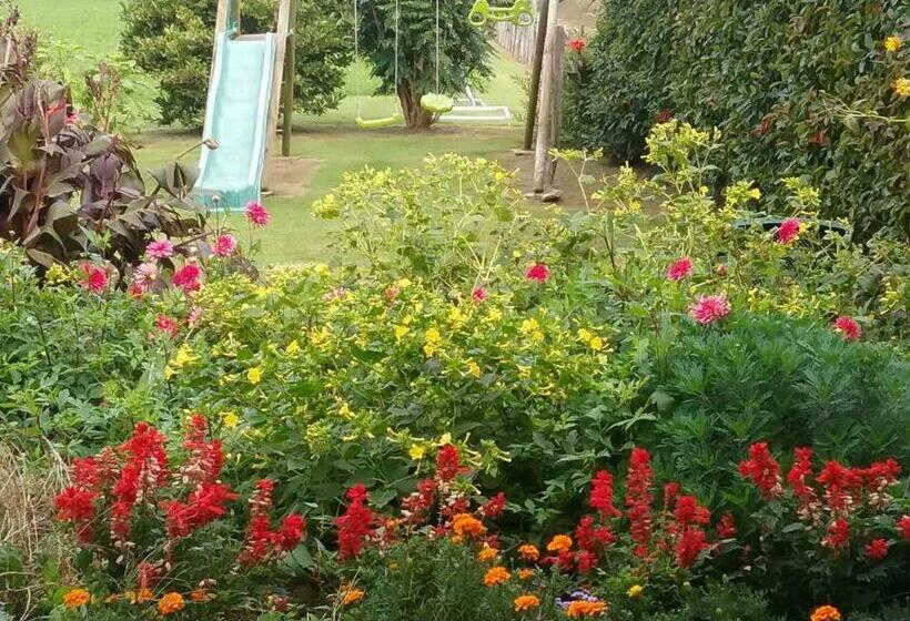 مبيت وإفطار Chambres D Hôtes Manttu