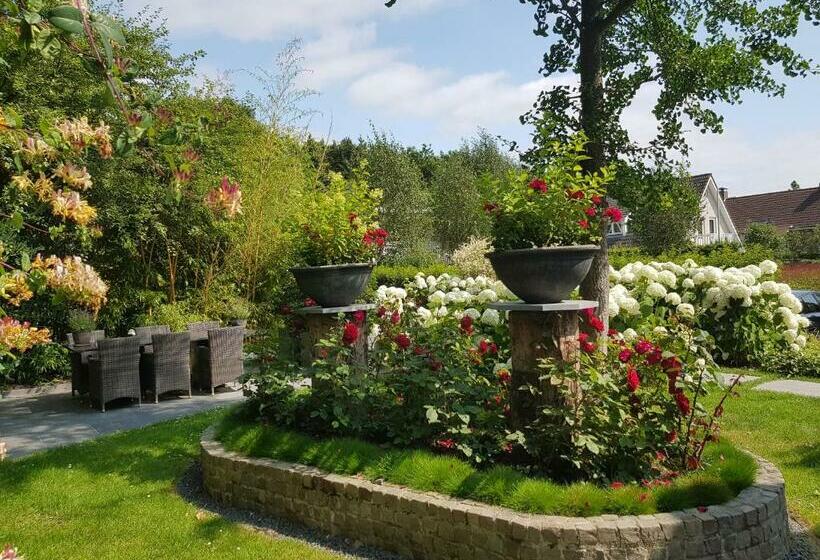 ベッドアンドブレックファースト Dishoek