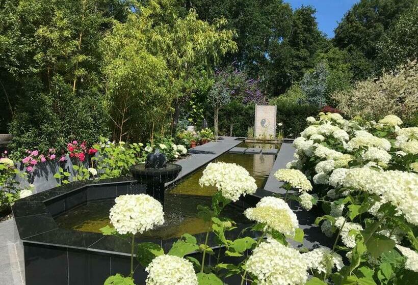 ベッドアンドブレックファースト Dishoek