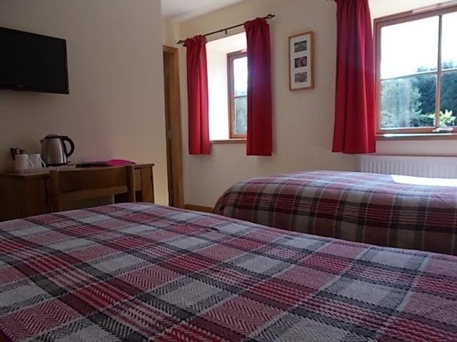 住宿加早餐  Forest View