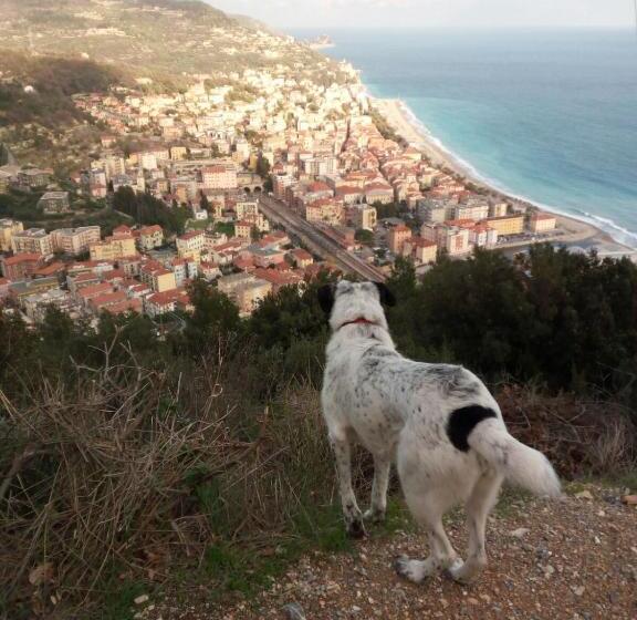 ベッドアンドブレックファースト Il Pozzo E Il Melograno