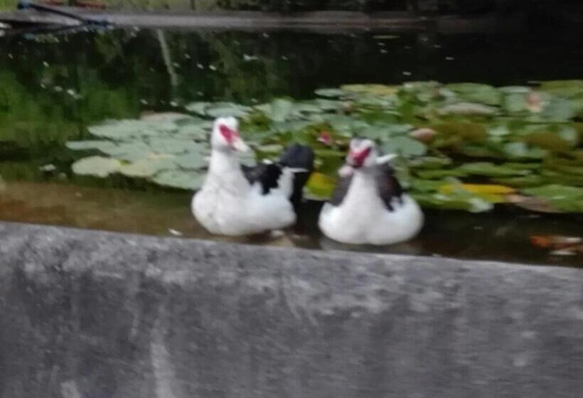 ベッドアンドブレックファースト Il Pozzo E Il Melograno