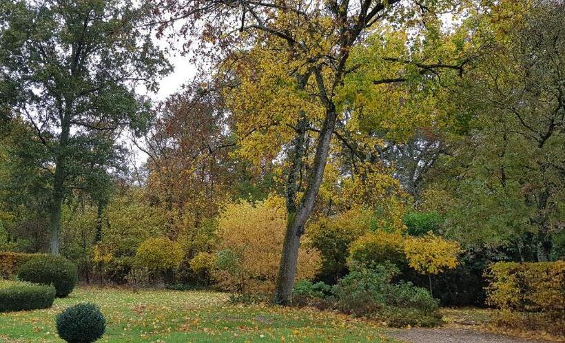 مبيت وإفطار La Taille De Biou