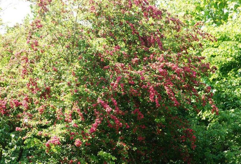 צימר Pastorie De Waal