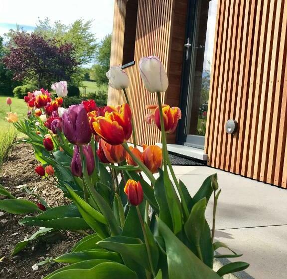 ベッドアンドブレックファースト Un Matin Au Jardin