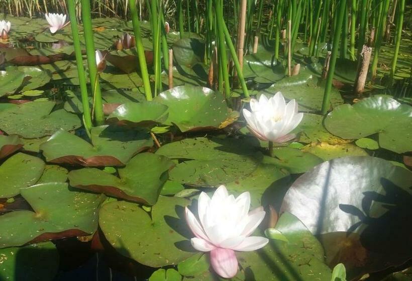 Bed and Breakfast Un Matin Au Jardin