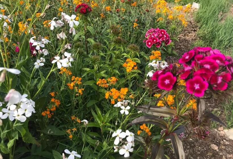 مبيت وإفطار Un Matin Au Jardin